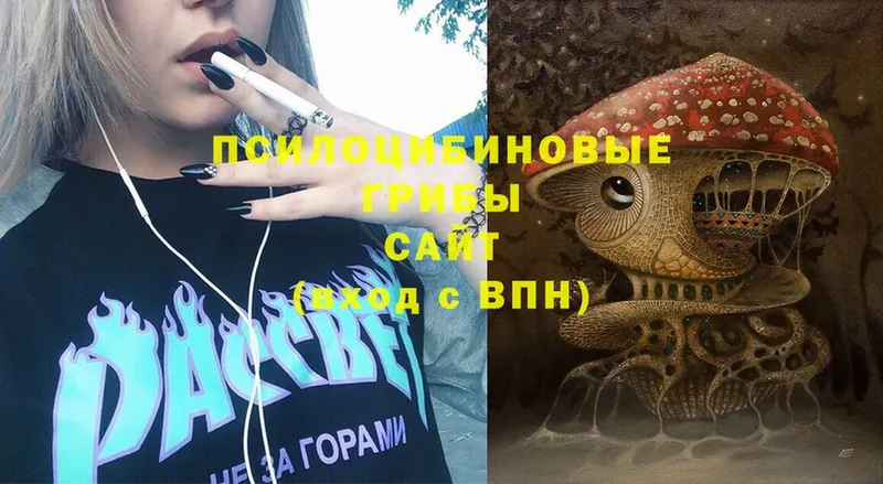 Галлюциногенные грибы Psilocybe  Родники 